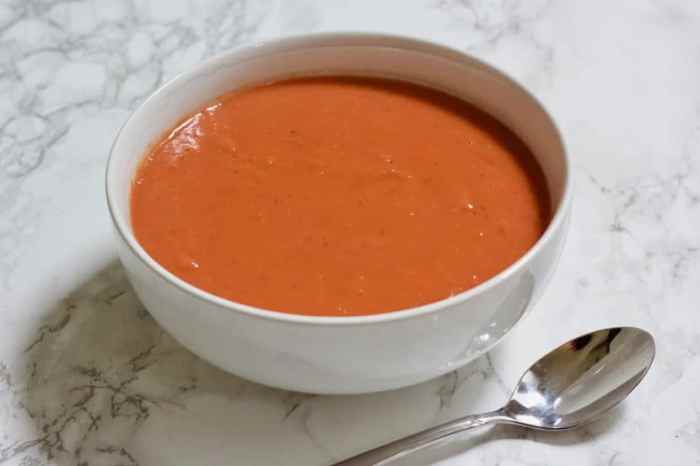 Campbell tomato soup recipe