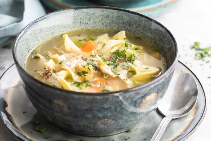 Turkey and noodle soup recipe