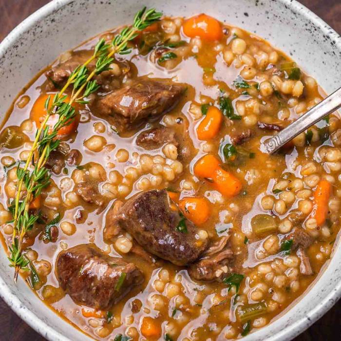 Beef soups recipes